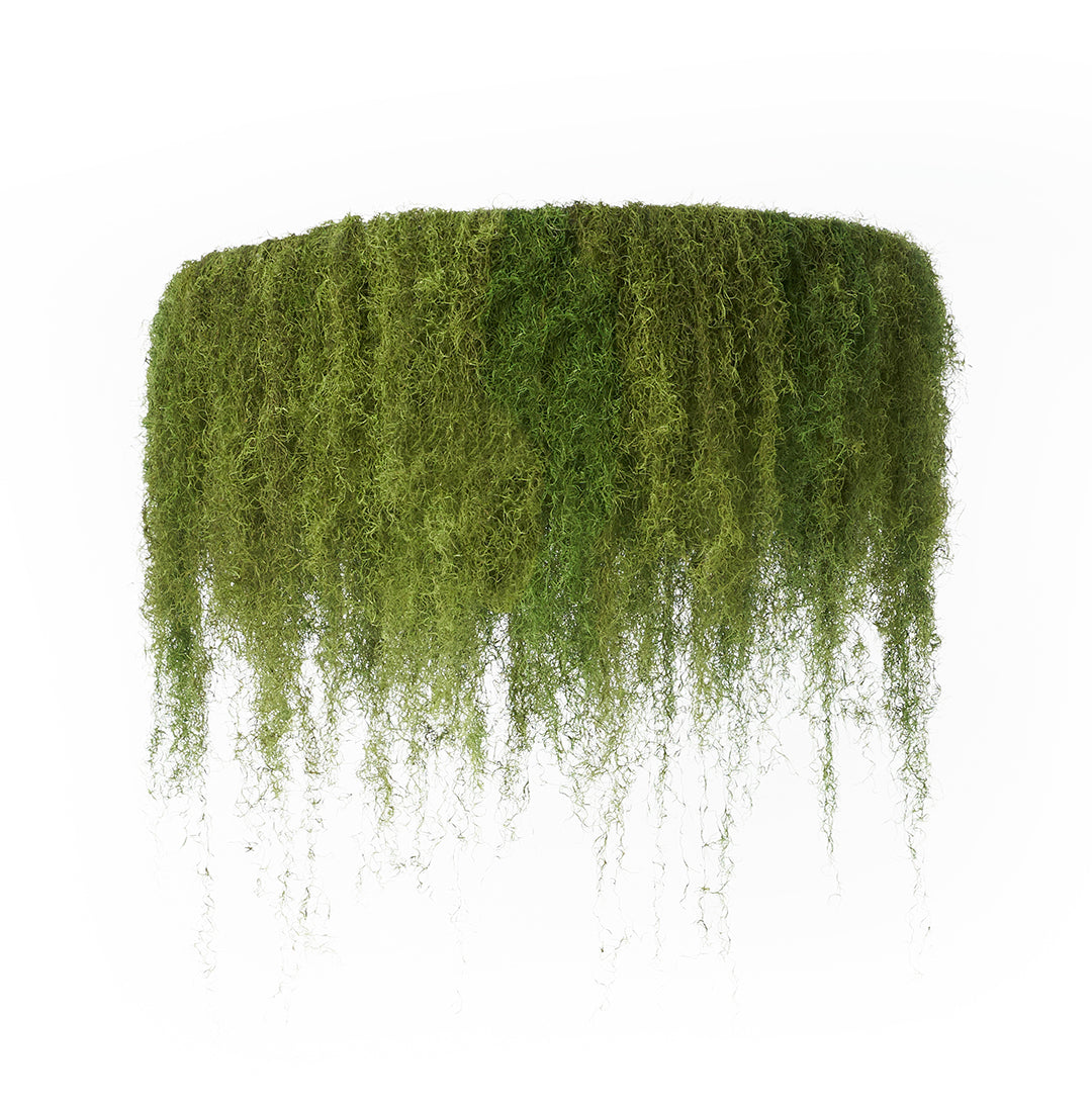 Spanish Moss Hanging Garden - 1 Tier