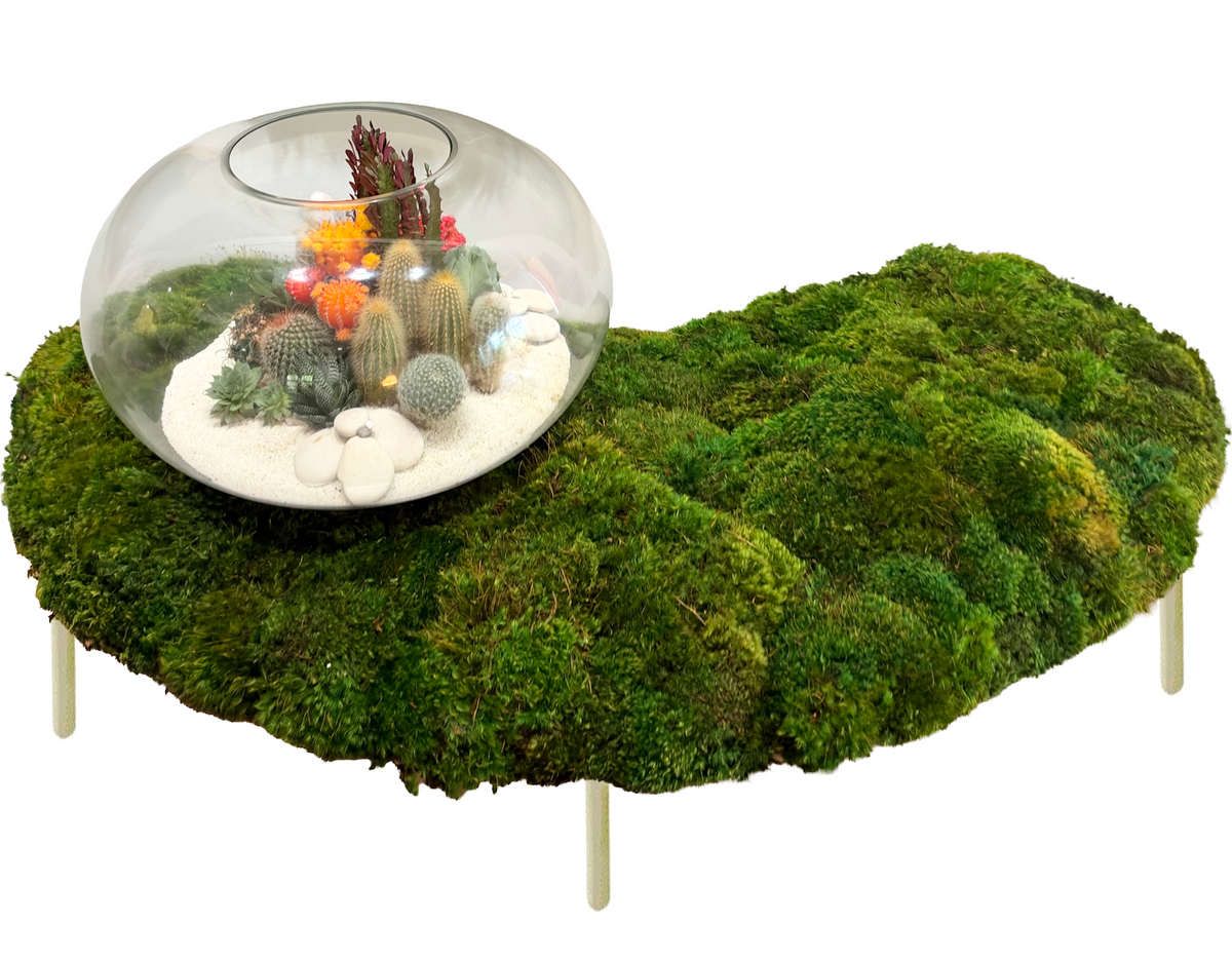 Moss Bean Medium by Paloma Teppa