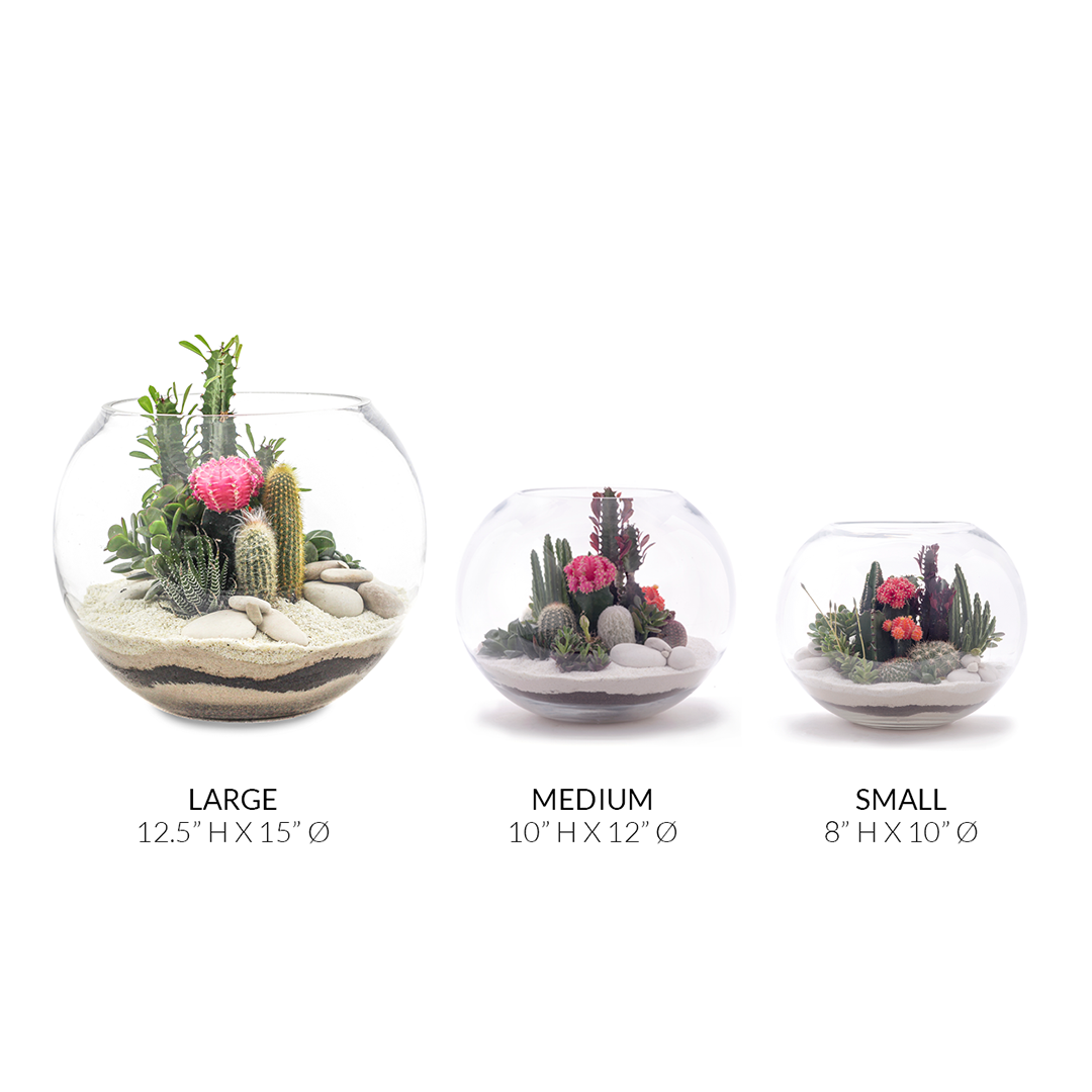 Fishbowl Glass Terrarium - White