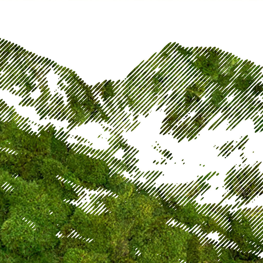 Sierra Mural Design