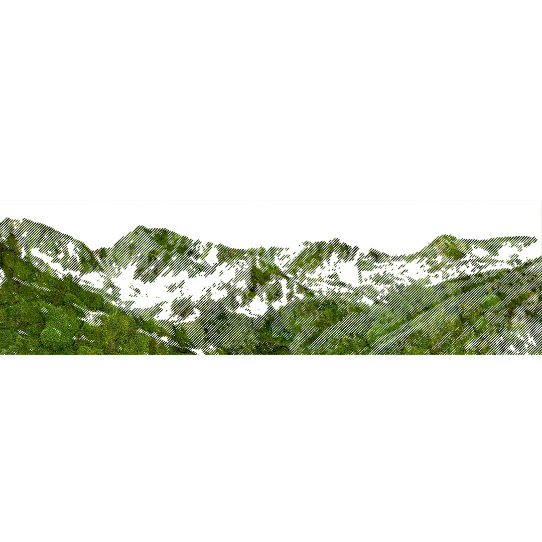 Sierra Mural Design