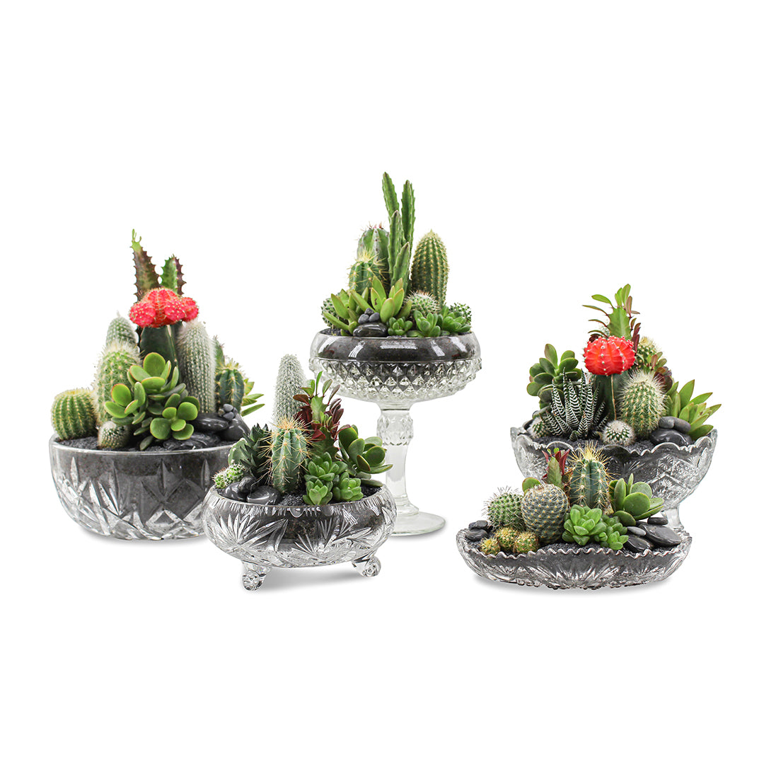 Vintage Clear Glass  Black - Rainbow Garden (One-of-a-Kind)
