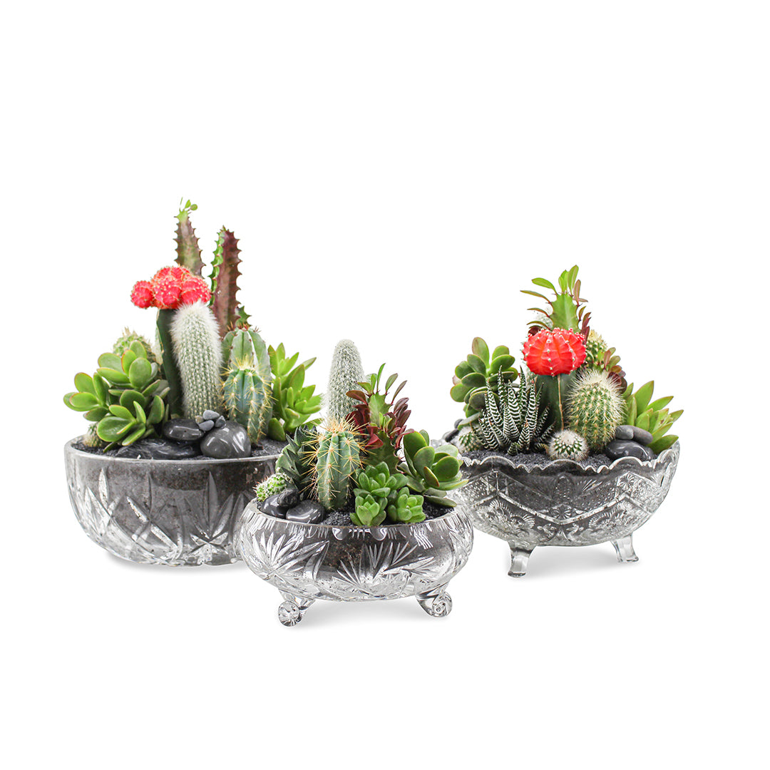 Vintage Clear Glass  Black - Rainbow Garden (One-of-a-Kind)