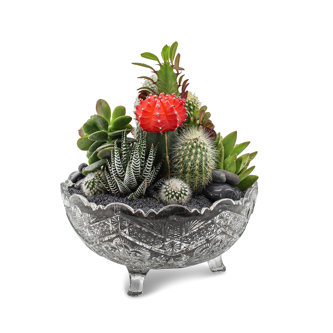 Vintage Clear Glass  Black - Rainbow Garden (One-of-a-Kind)