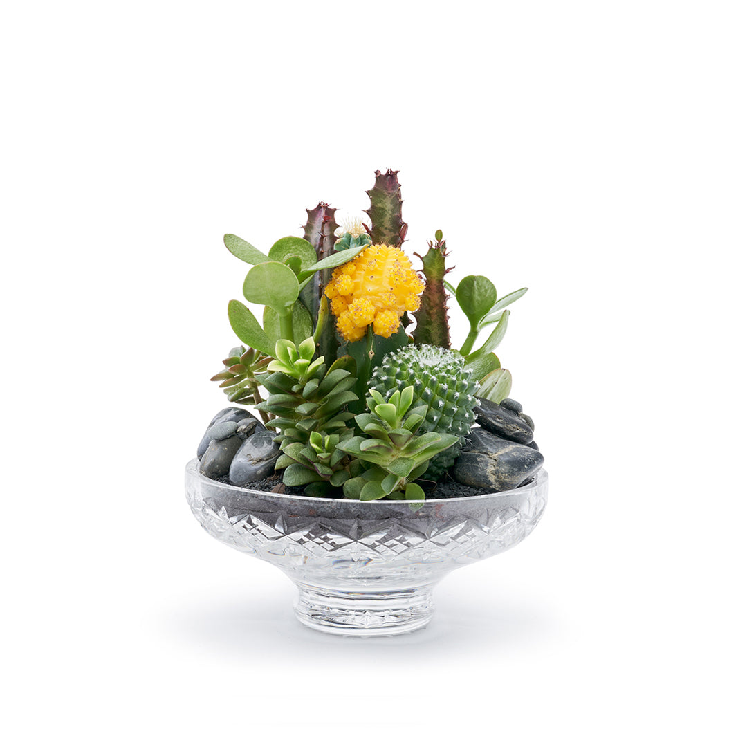 Vintage Clear Glass  Black - Rainbow Garden (One-of-a-Kind)