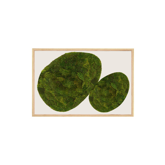 Moss Art - Abstract Series No. 050 (3' x 2')