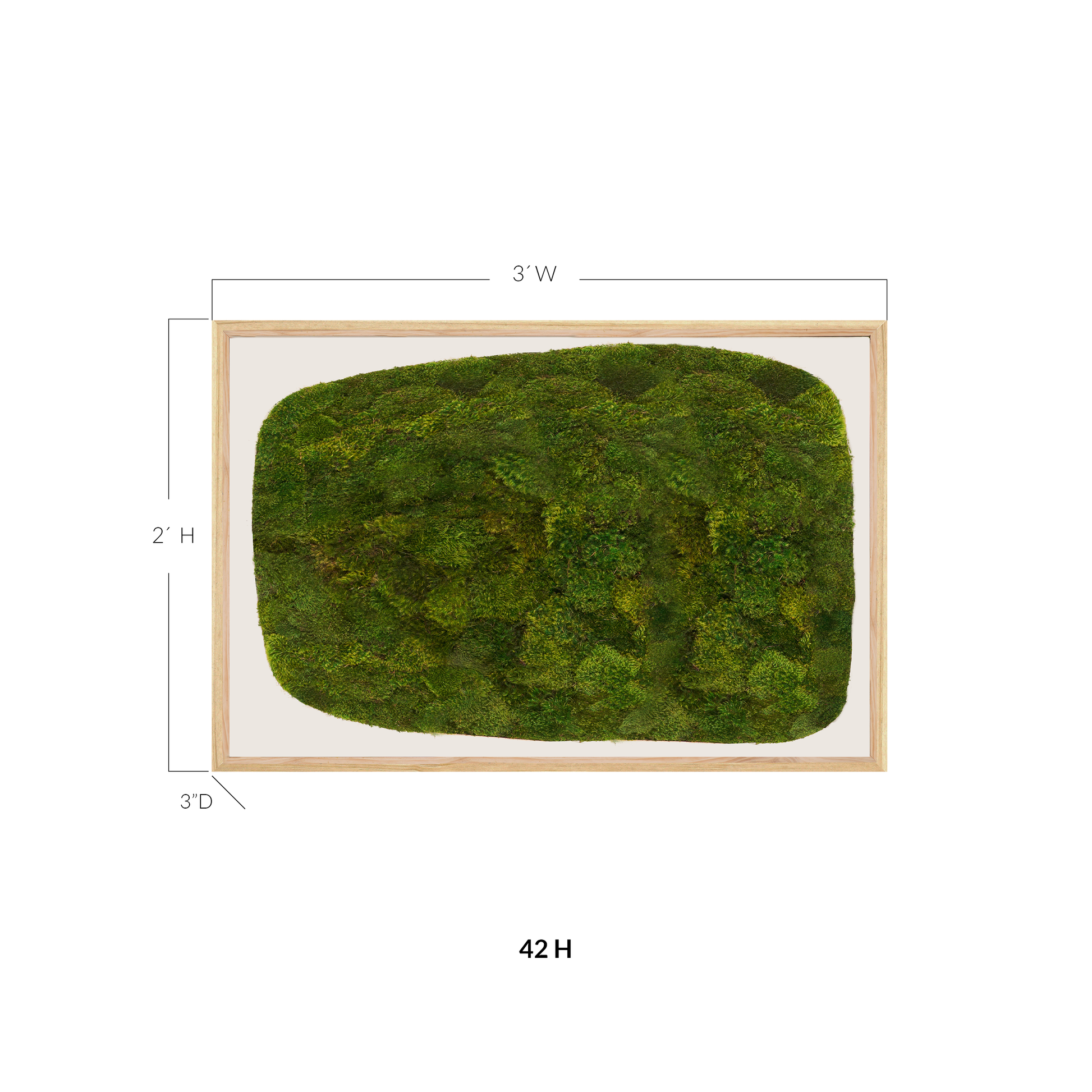 Moss Art - Abstract Series No. 051 (3' x 2')