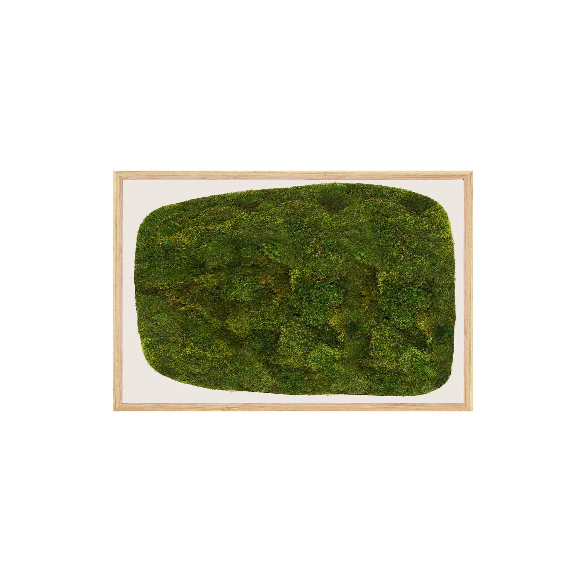 Moss Art - Abstract Series No. 051 (3' x 2')