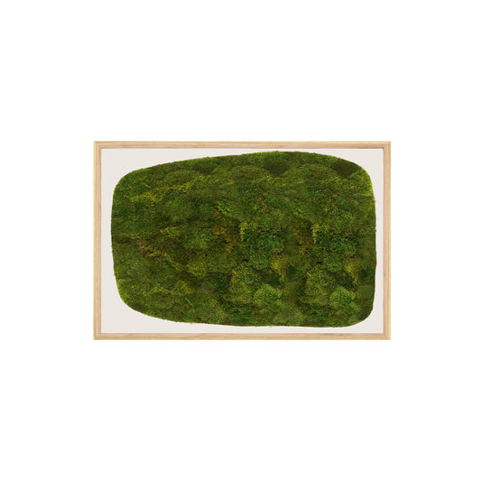 Moss Art - Abstract Series No. 051 (3' x 2')