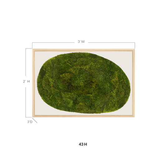 Moss Art - Abstract Series No. 052 (3' x 2')