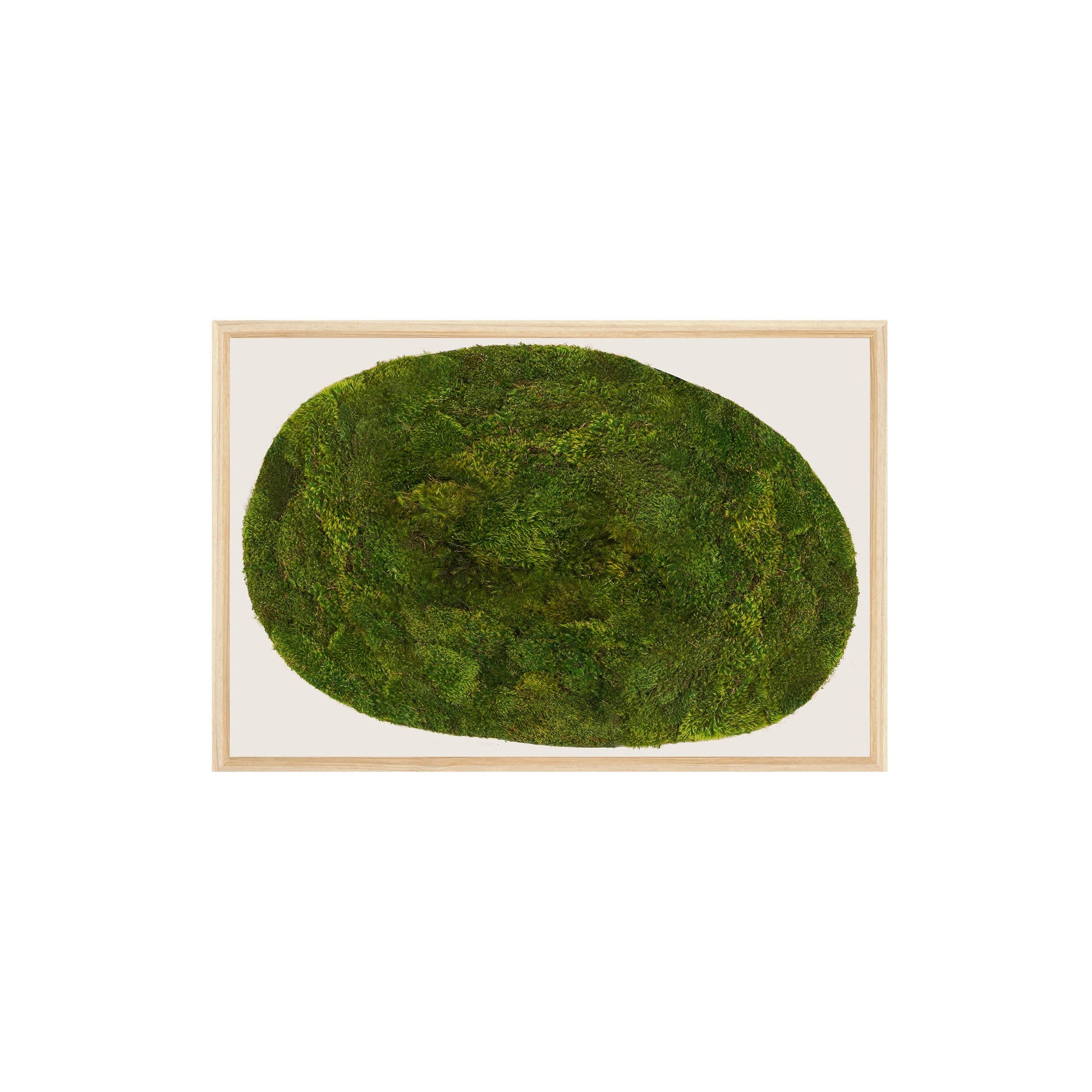 Moss Art - Abstract Series No. 052 (3' x 2')