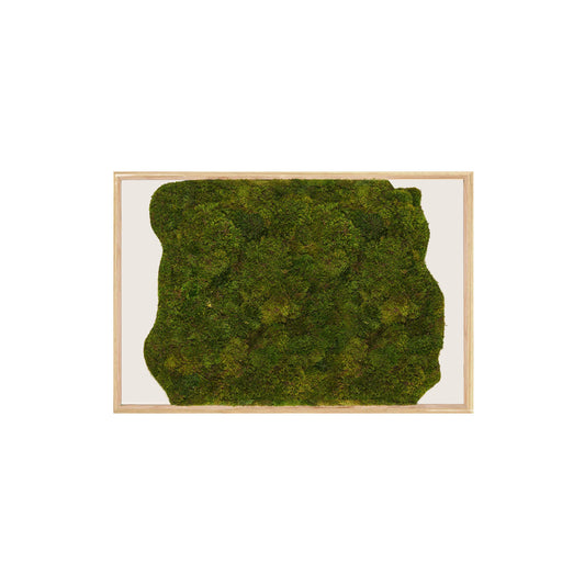 Moss Art - Abstract Series No. 054 (3' x 2')