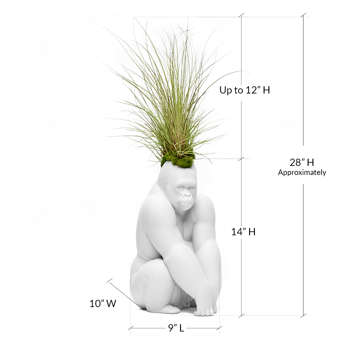 gorilla plant pot Lladró Porcelain