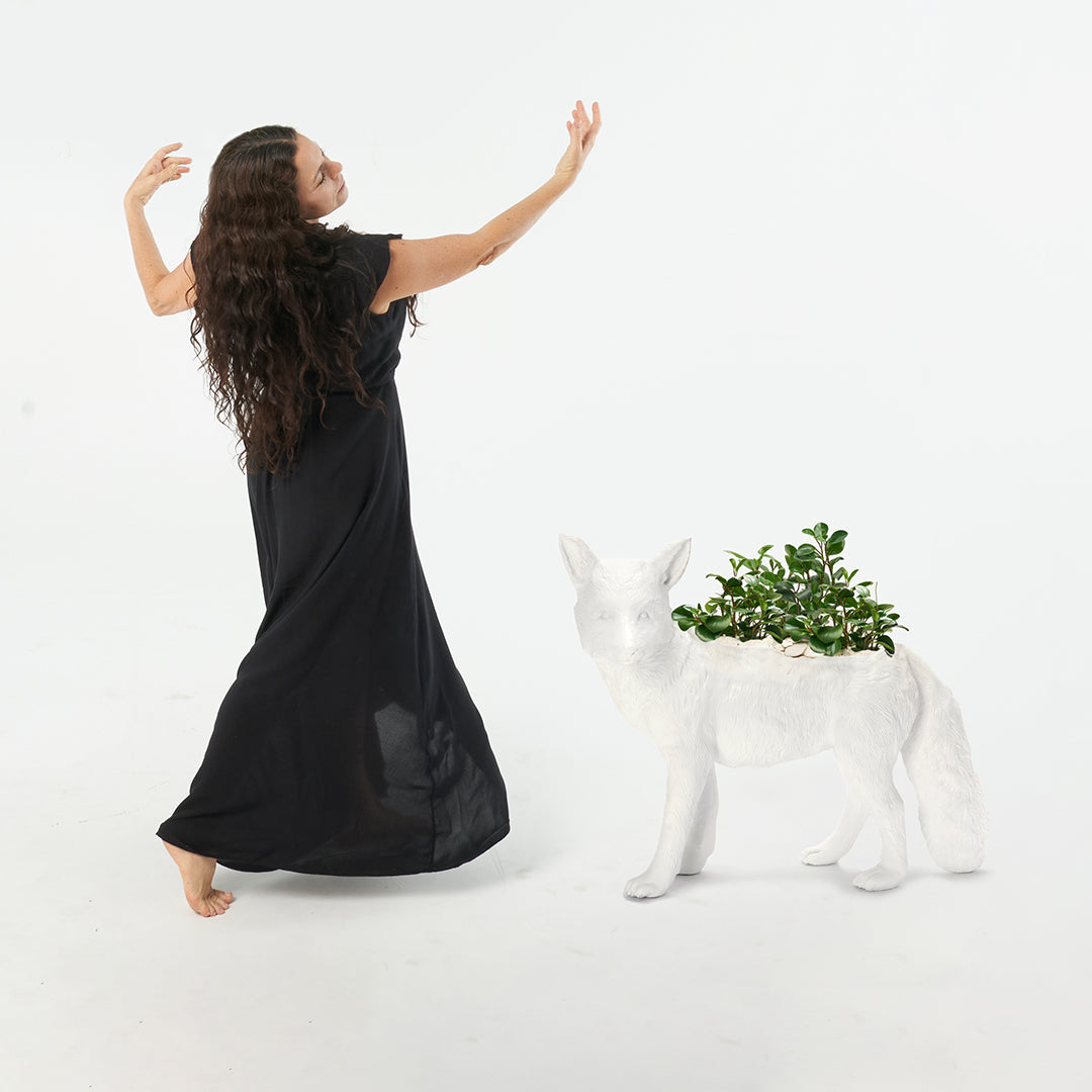 Life Size Animal - Fox