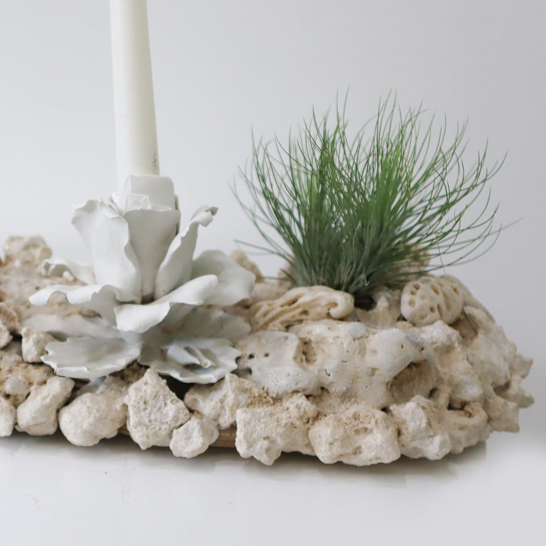 Keystone Vase with Porcelain Flowers Candle Holder Plant the Future