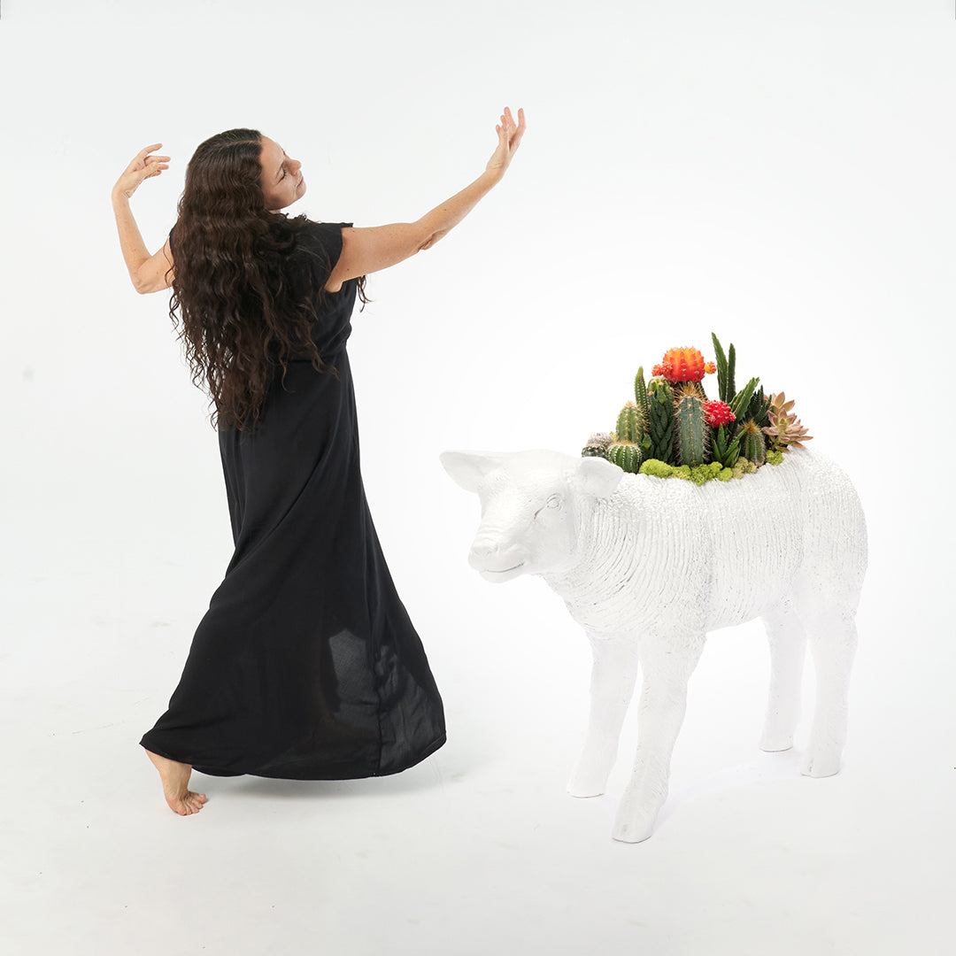 Life Size Animal - Lamb