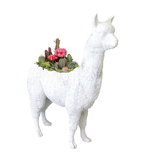 Life Size Animal - Alpaca