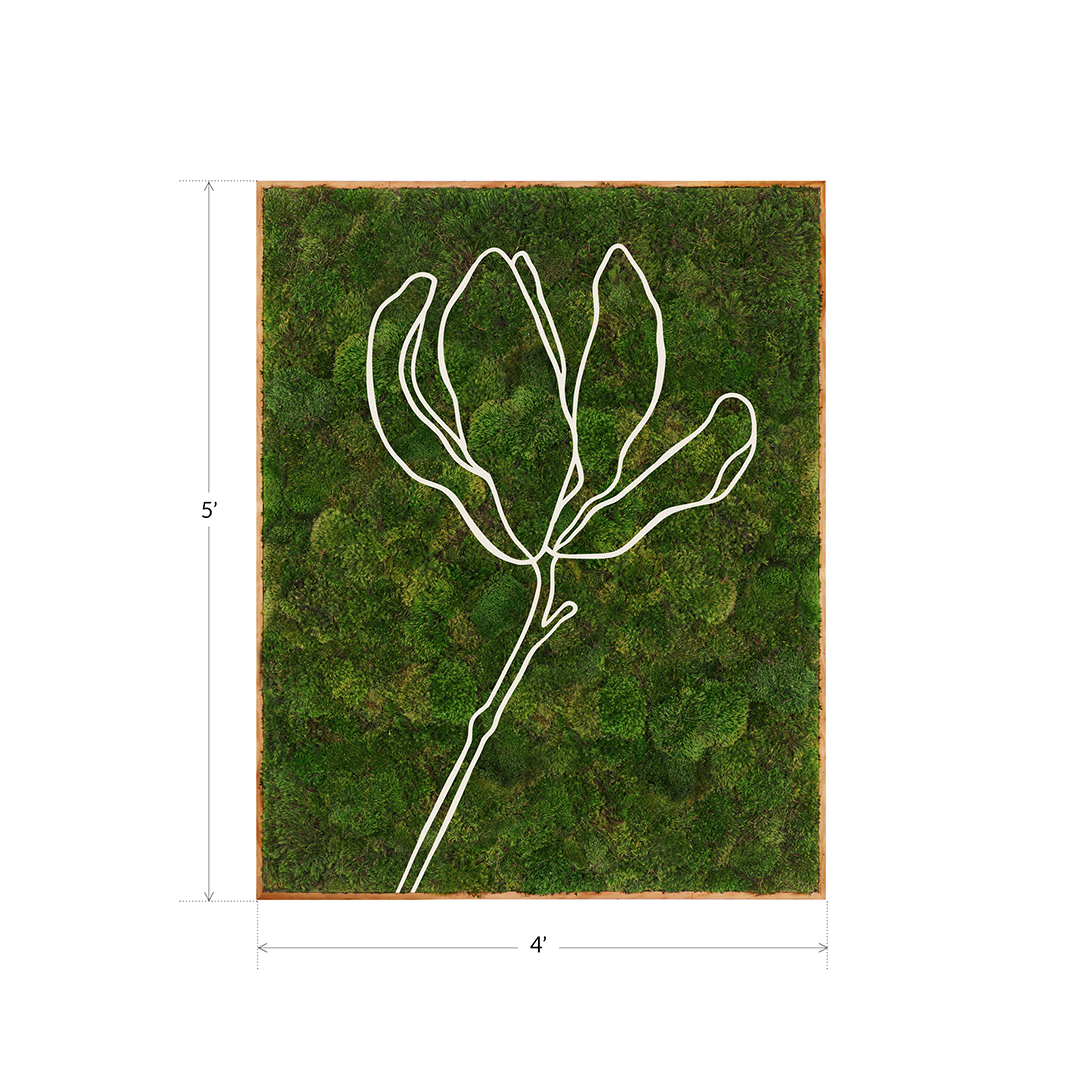Mediterranean Series "Magnolia" (2024) 5' x 4'