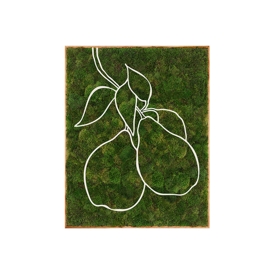 Mediterranean Series "Pears" (2024) 5' x 4'