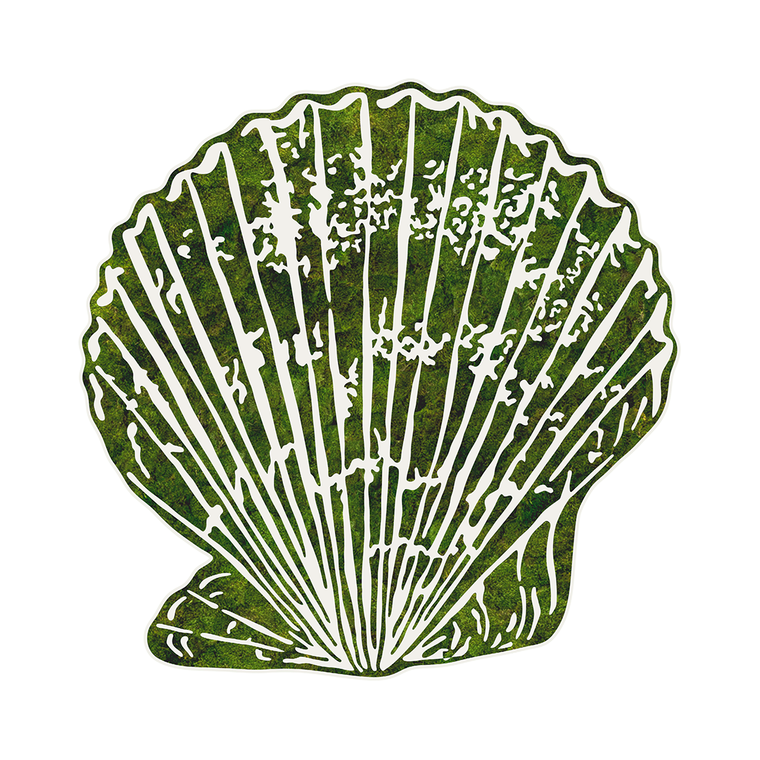 "Miami Seashell N° 111" 2024 Plant the Future