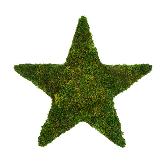 Moss Hollywood Star