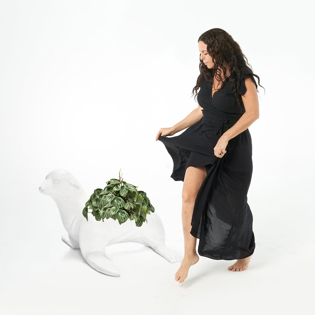 Life Size Animal - Seal