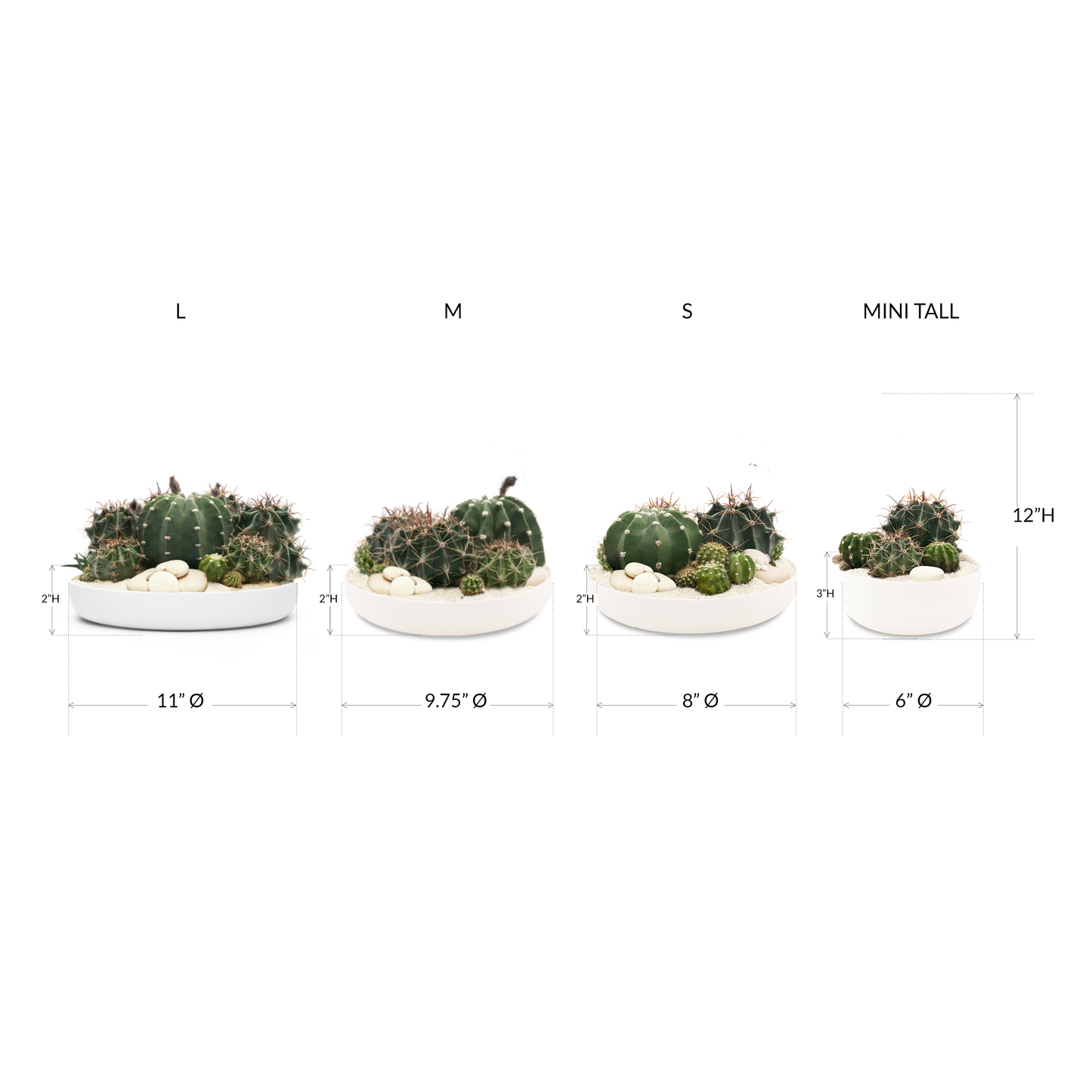 Tokyo White - Low Green Garden