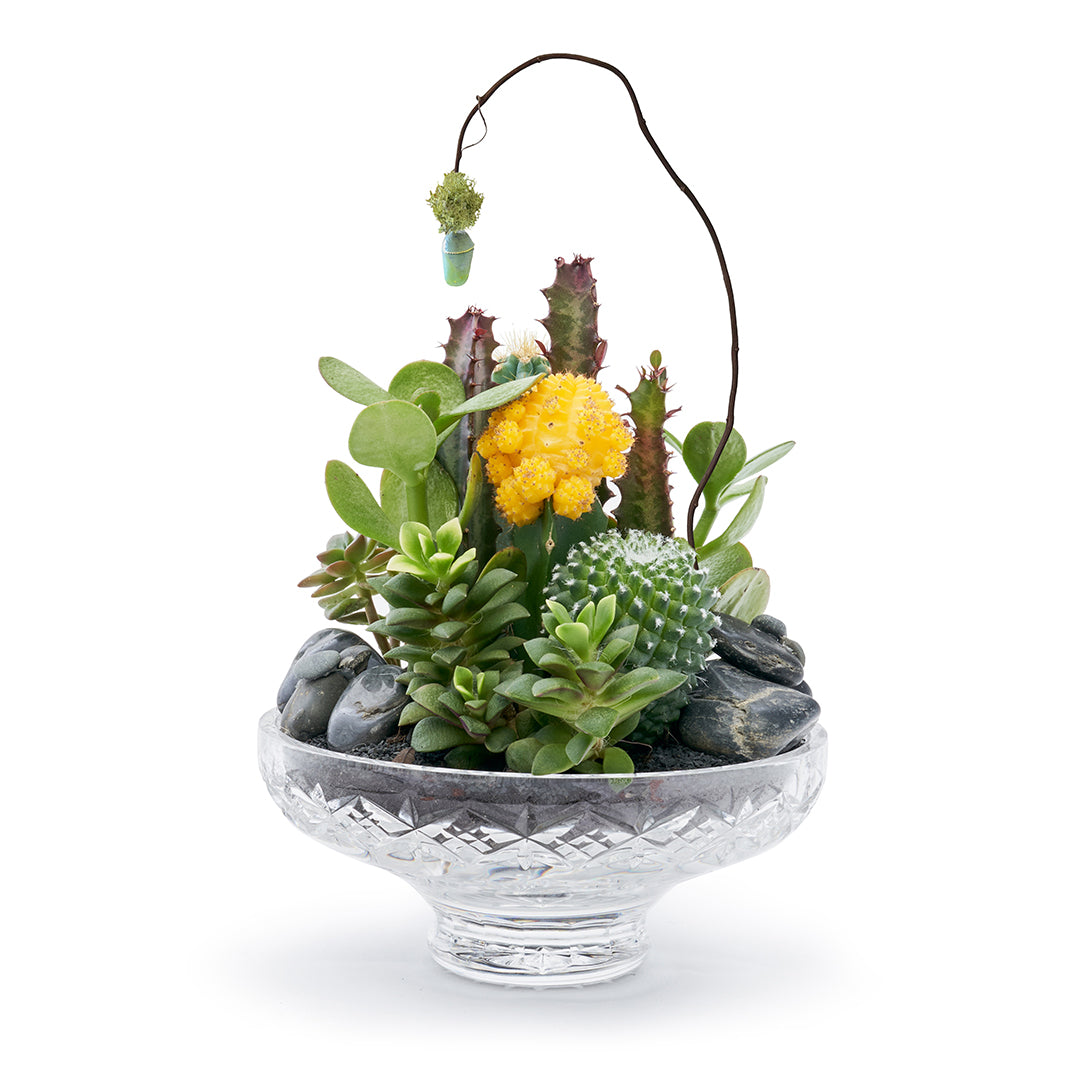 Vintage Clear Glass White - Rainbow Garden (One-of-a-Kind) with Butterfly Cocoon