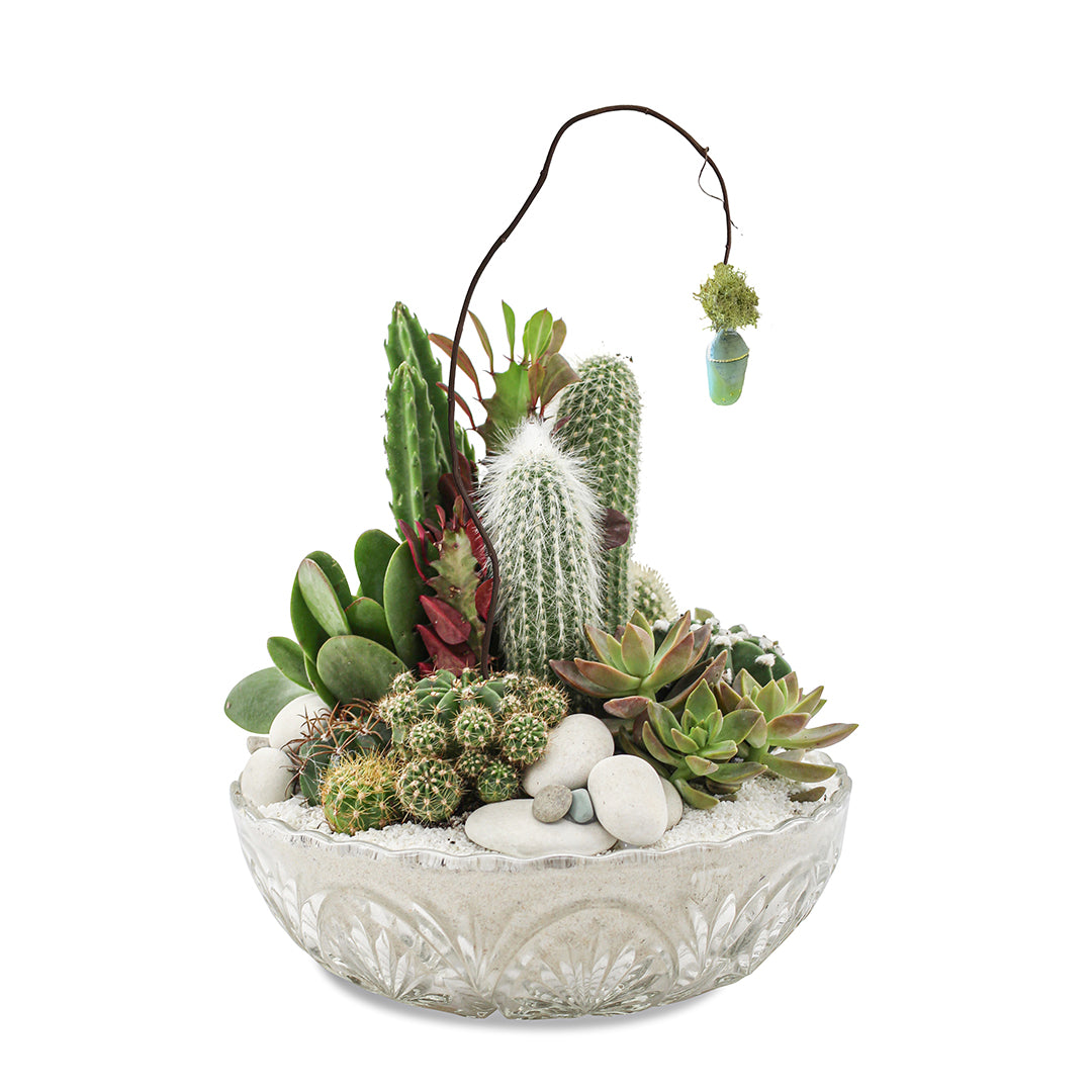 Vintage Clear Glass White - Rainbow Garden (One-of-a-Kind) with Butterfly Cocoon
