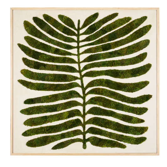 Moss Art - Botanic No. 2 (47"H  x 47" W) - Deplazium