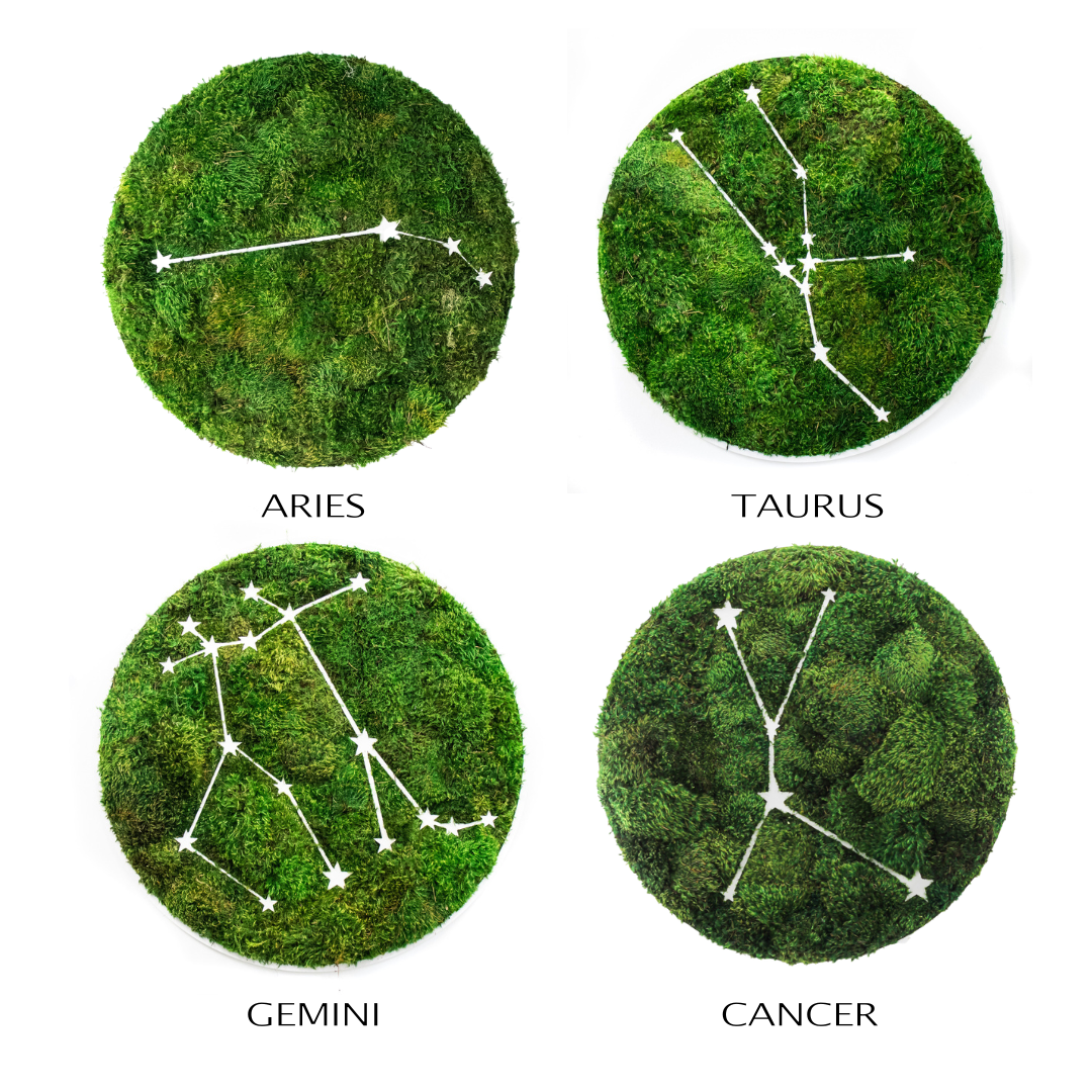 Zodiac Collection - Moss Constellations