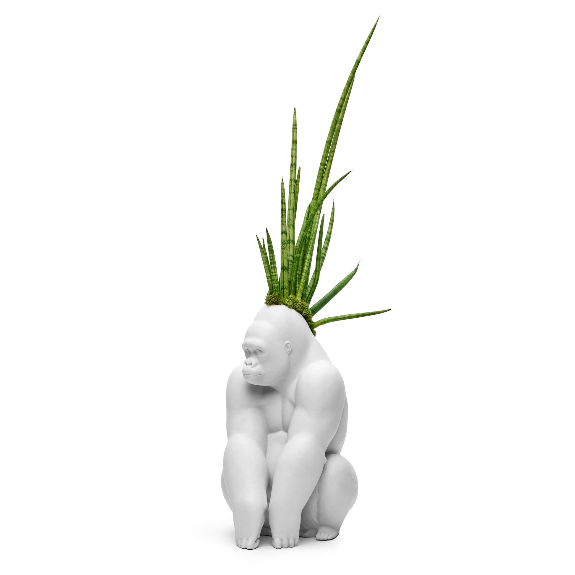 Lladró - Gorilla with Sansevieria Cylindrica