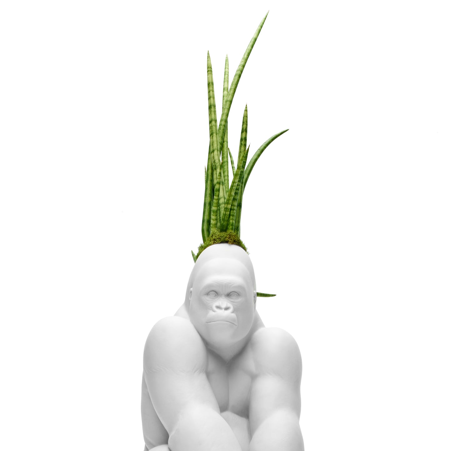 Lladró - Gorilla with Sansevieria Cylindrica