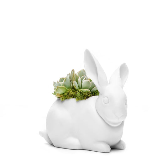 Lladró - Bunny with Succulent
