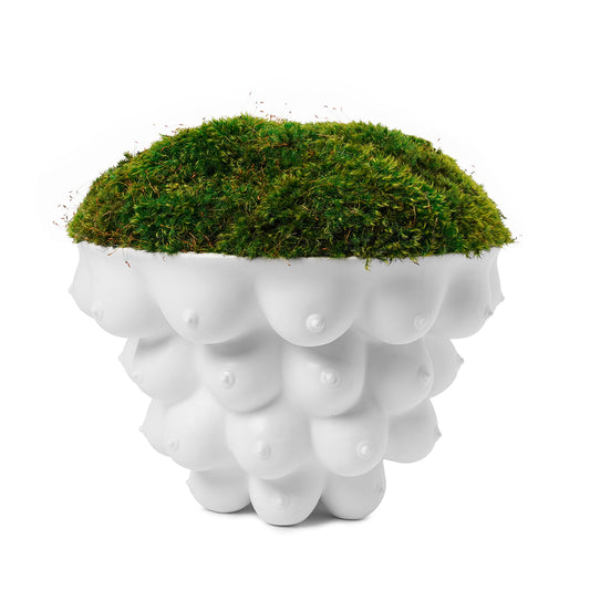 Jonathan Adler - Georgia Centerpiece Bowl Moss