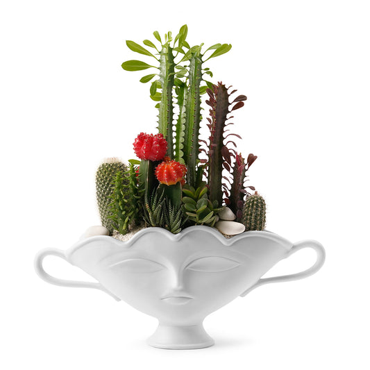 Jonathan Adler - Giuliette Small Urn Garden