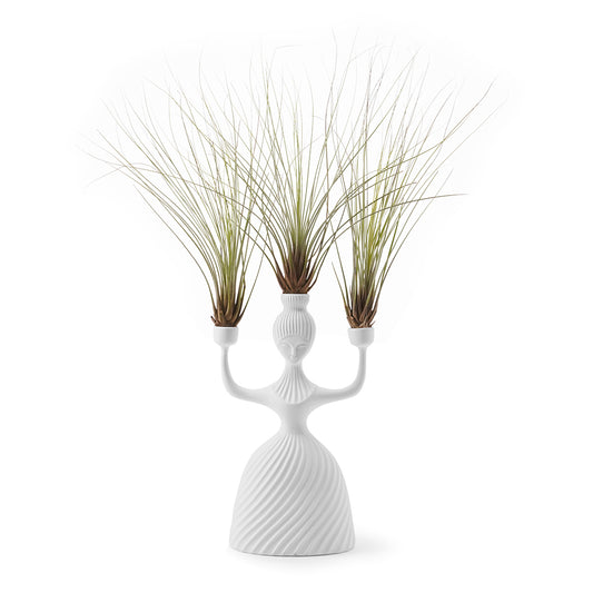 Jonathan Adler - Alba Candelabra (Juncea Airplants)