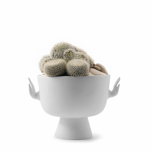 Jonathan Adler - Eve Pedestal Bowl Cacti