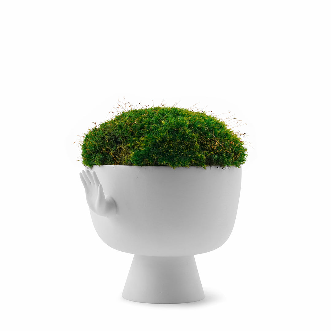 Jonathan Adler - Eve Pedestal Bowl Moss