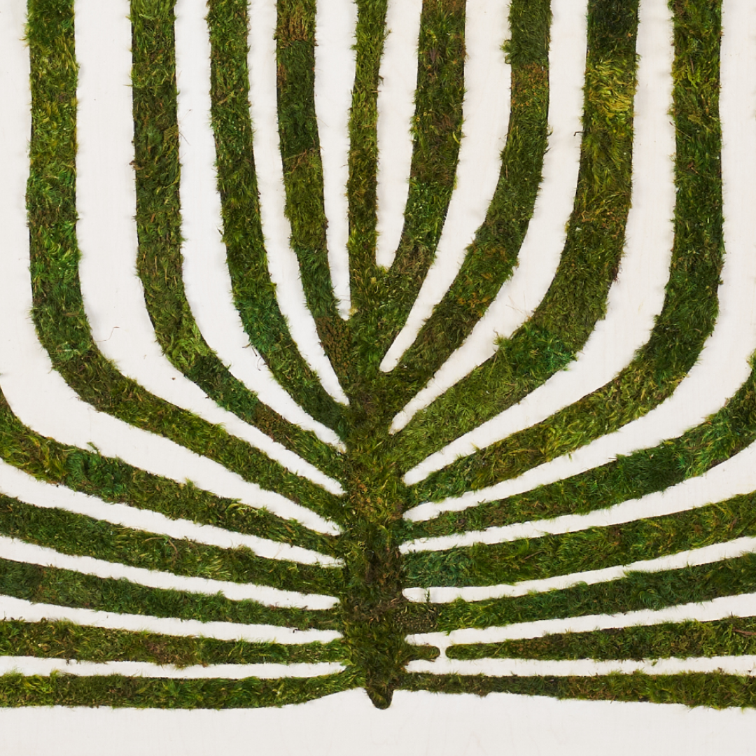 Moss Art - Botanic No. 1 (47" H x 47" W) - Polypodiales Coronam