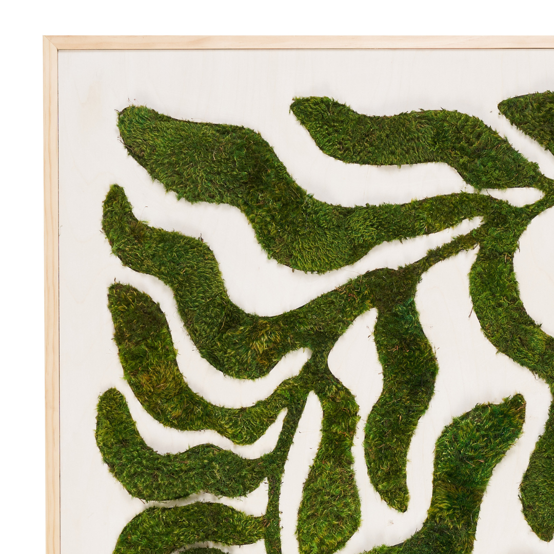 Moss Art - Botanic No. 3 (48" H x 60" W)