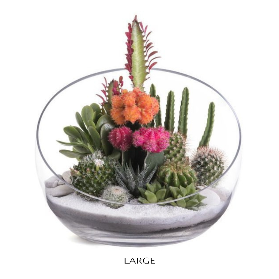 Half Moon Terrarium - White