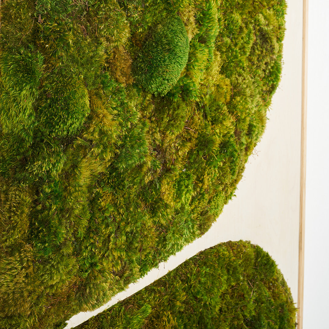 Moss Art - Abstract Series No. 028 (4' x 4') 