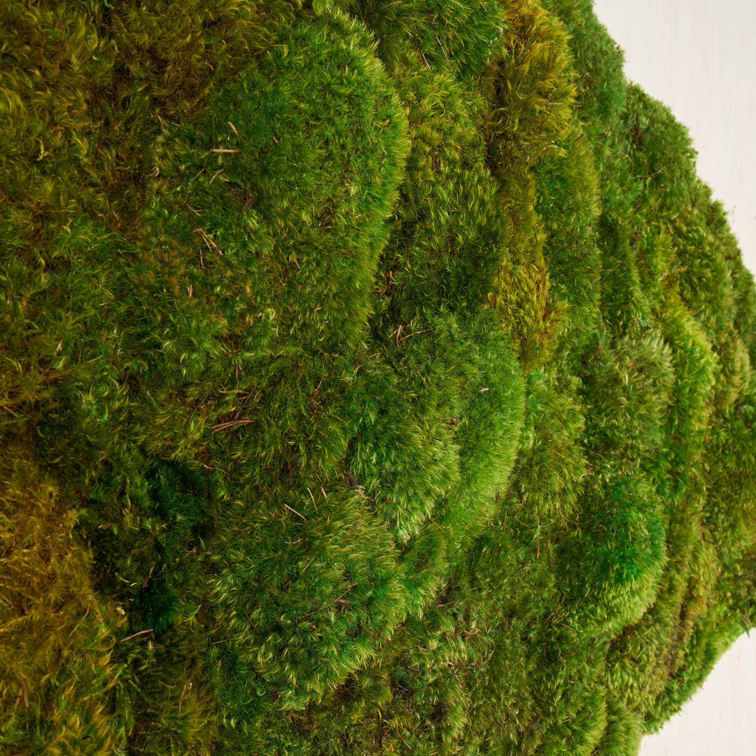 Moss Art - Solid Series (4' x 4')