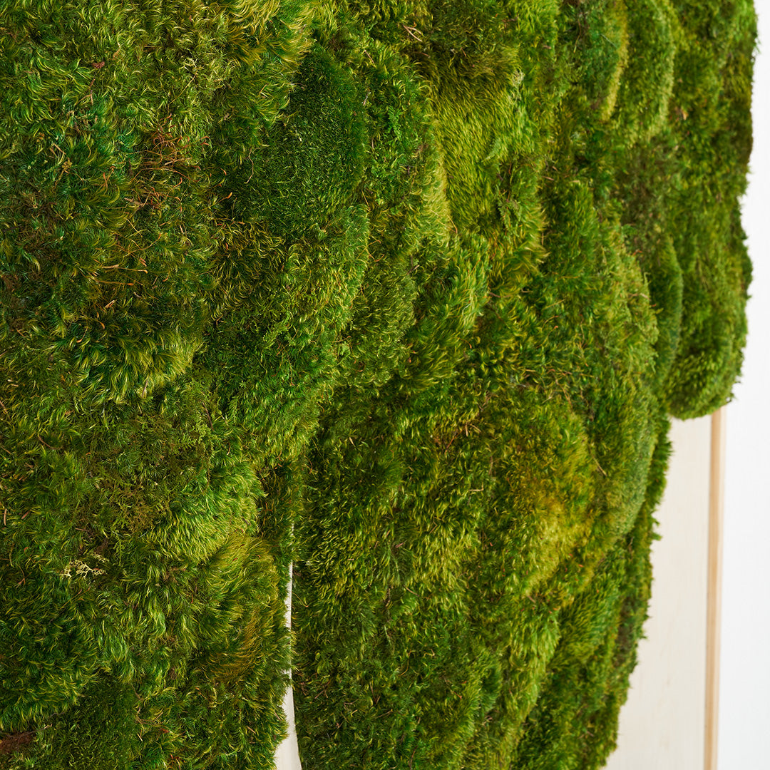 Moss Art - Abstract Series No. 029 (4' x 4')
