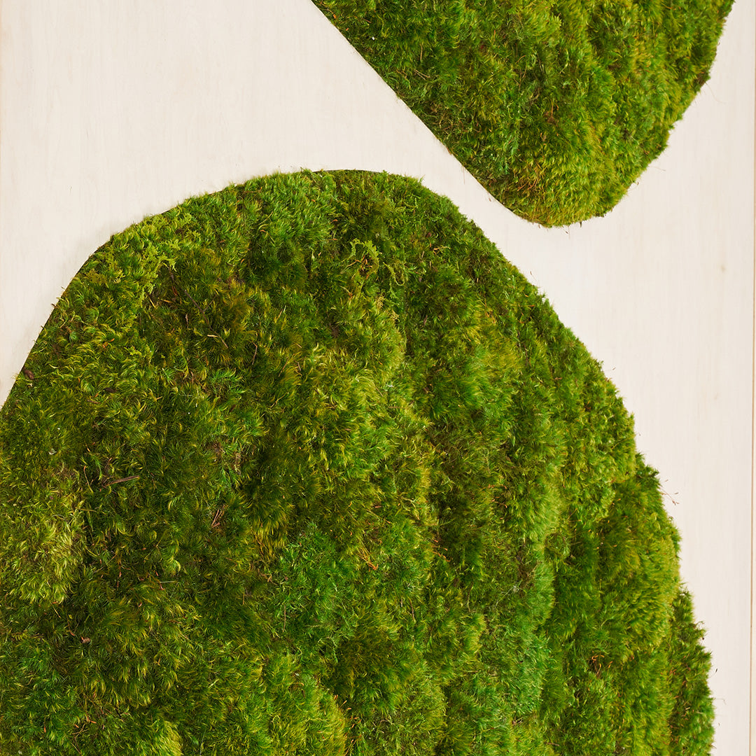 Moss Art - Abstract Series No. 043 (3' x 2')