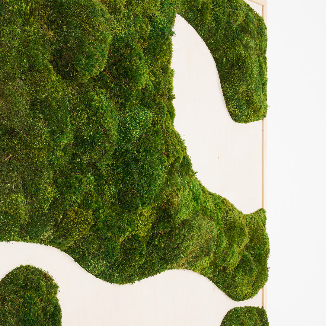 Moss Art - Abstract Series No. 038 (5' x 4') 