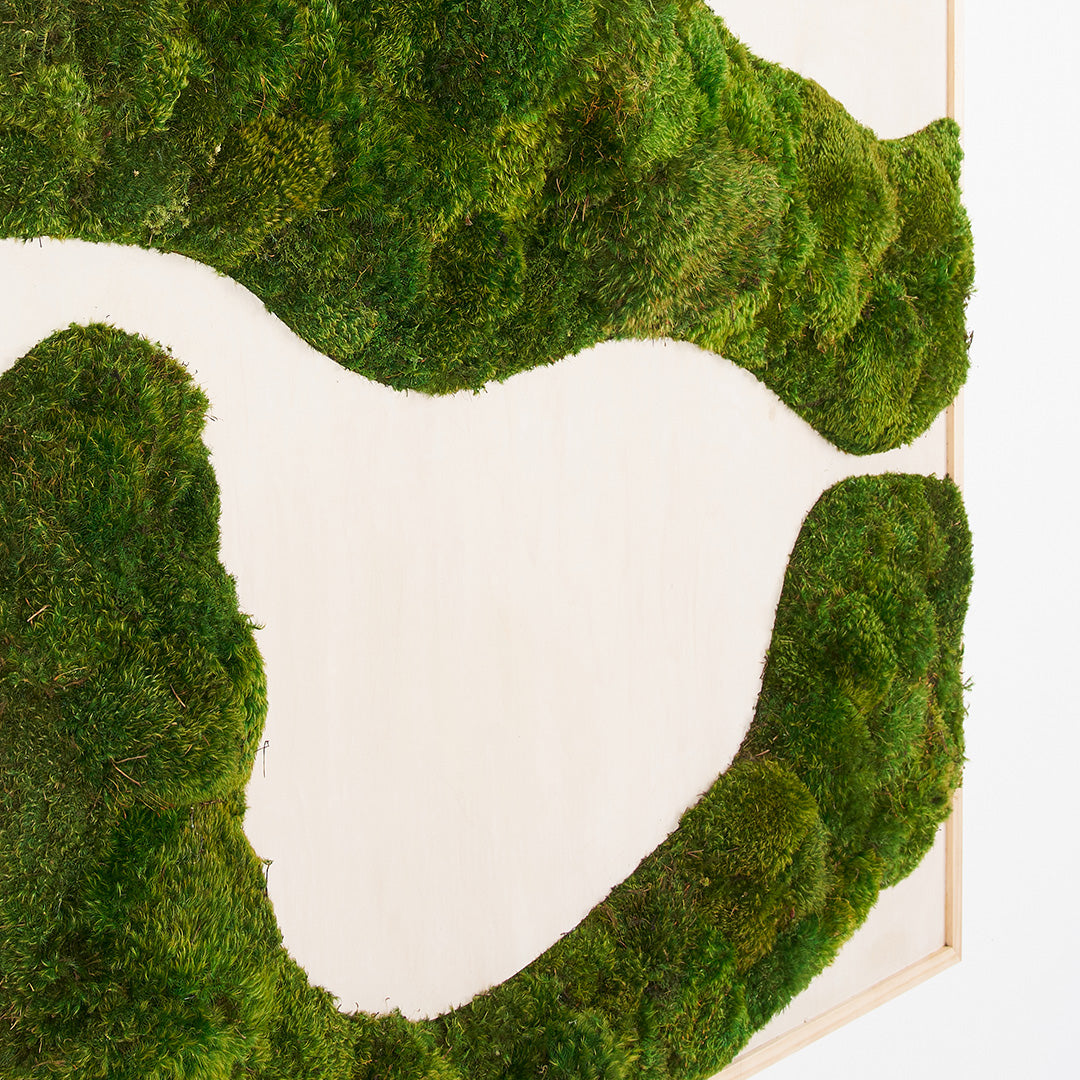 Moss Art - Abstract Series No. 038 (5' x 4') 