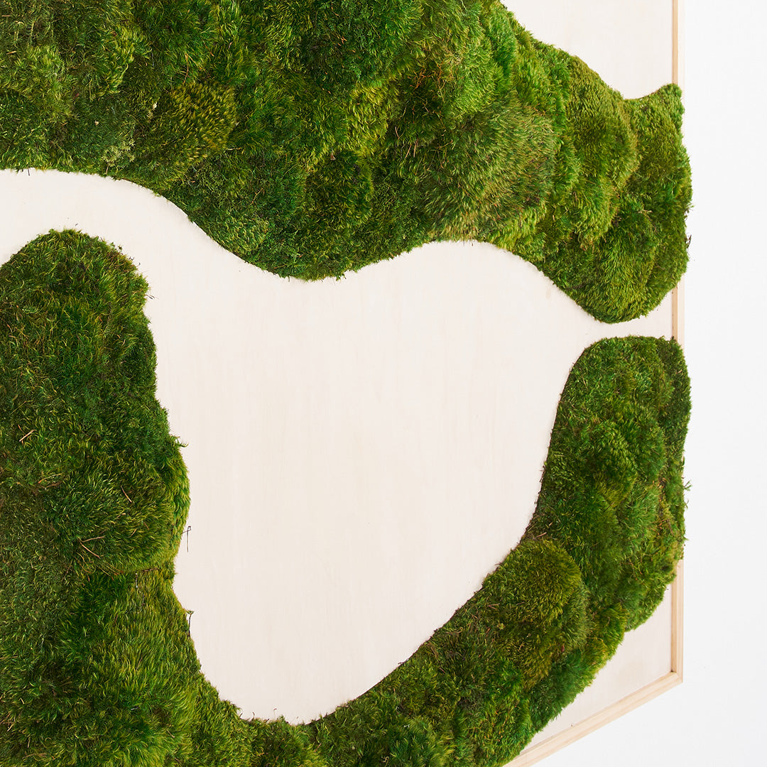 Moss Art - Abstract Series No. 040 (3' x 2')