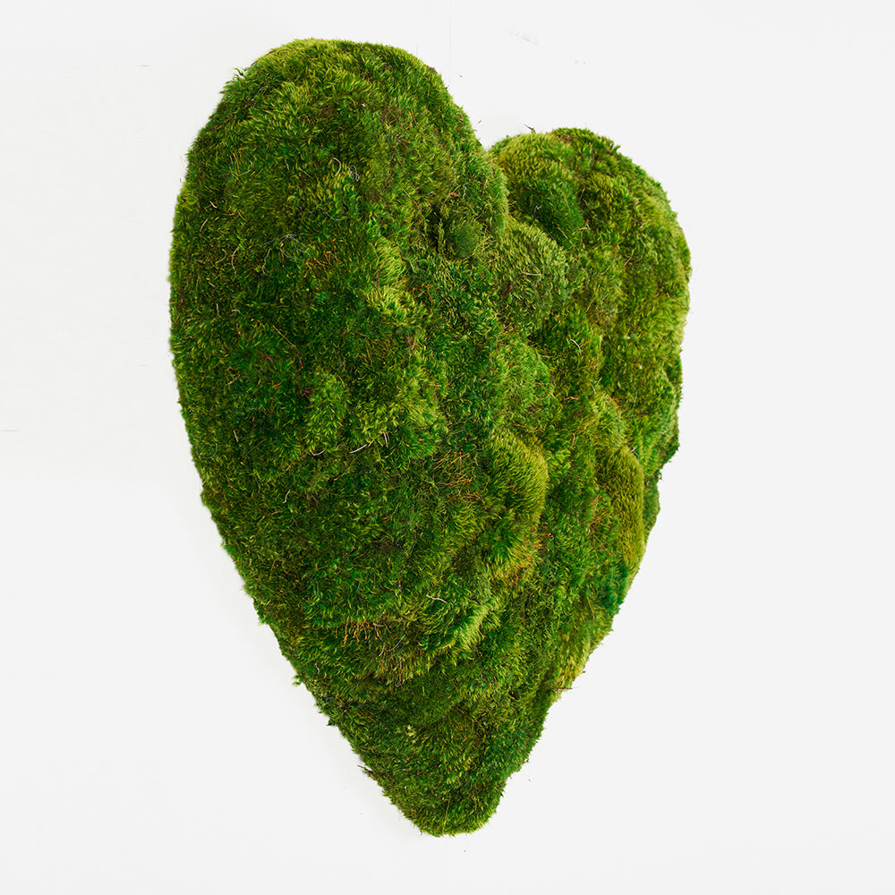 Moss Heart